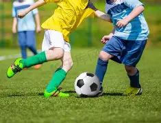 大乐透期号,分析,卢指导点评,新葡京,新葡京app,新葡京娱乐,新普京赌场